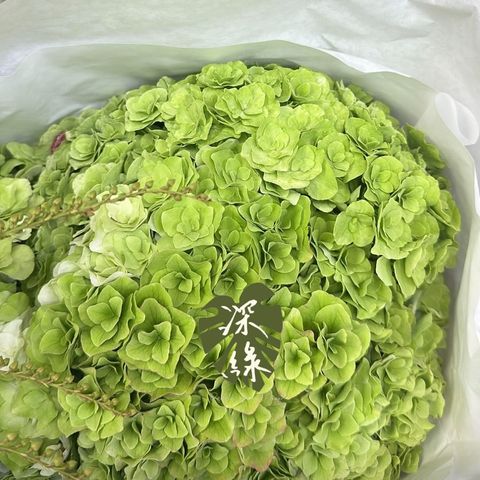 image_5FAA0179-1794-4592-A7BF-F22BBA8073CB_1763444700