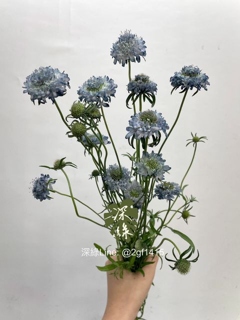 image_82987BA8-4CD8-4DC3-BC0D-3AB66D62365A_1763520751