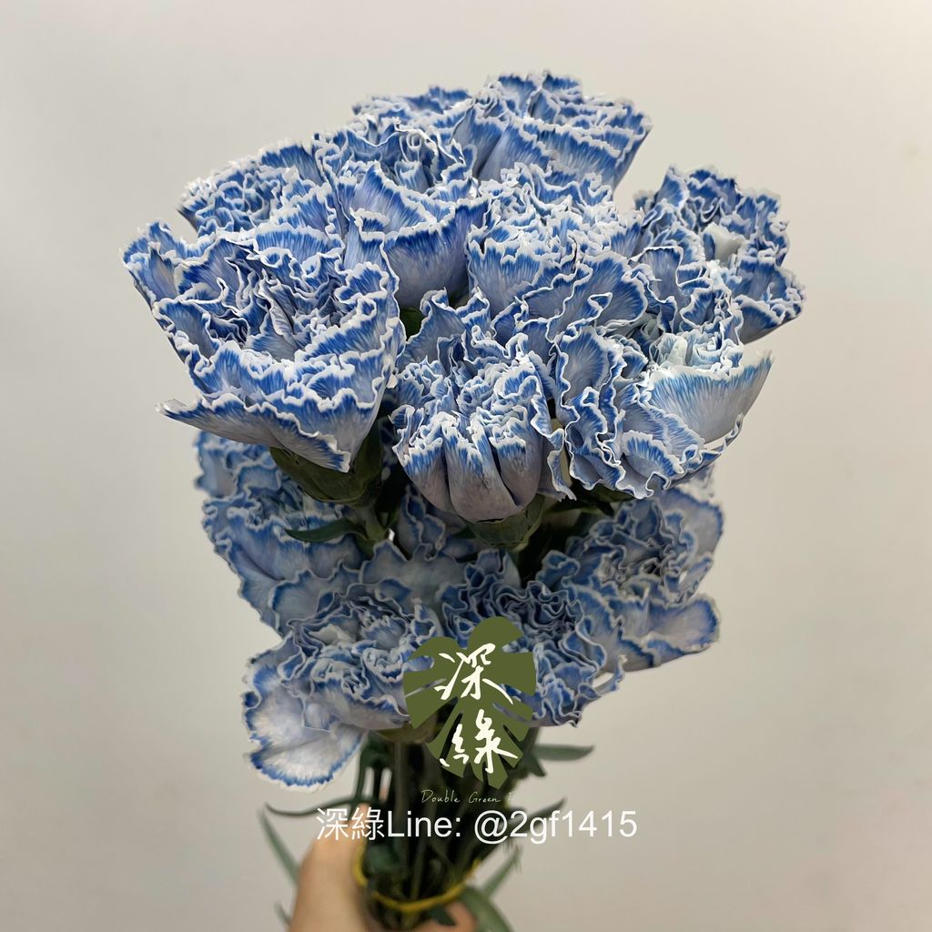 image_D4847635-F2E4-4B86-A6BF-8C13A1DE933E_1763520807