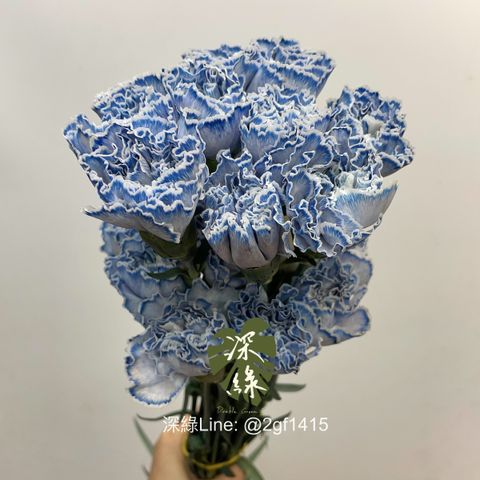 image_D4847635-F2E4-4B86-A6BF-8C13A1DE933E_1763520807