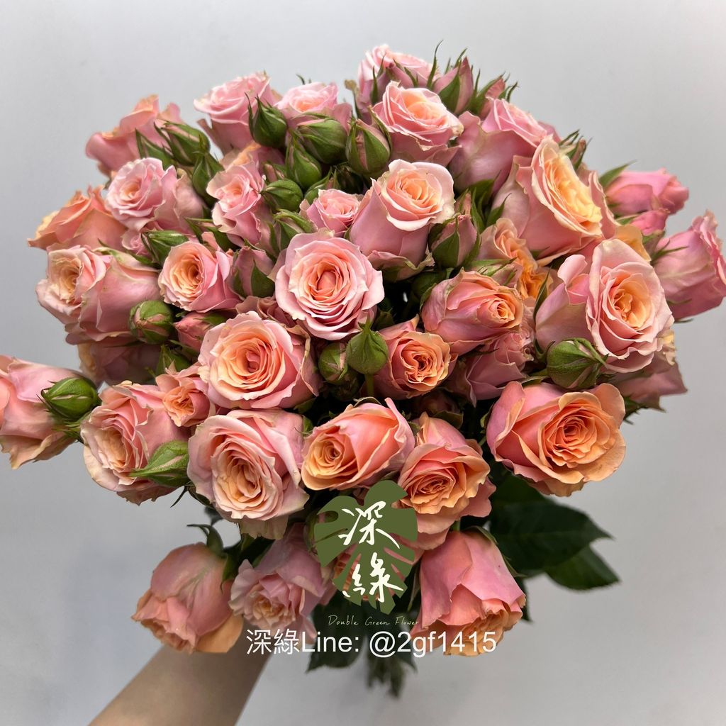 image_6D313E04-5764-4A01-BE2C-D24CBA71F3DD_1763534173