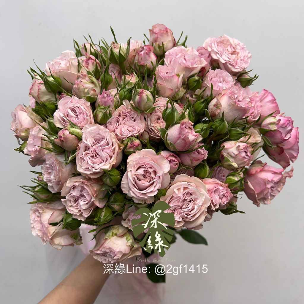 image_8C3EA99B-33EF-4F46-80FC-C61D9B8599A0_1763534194