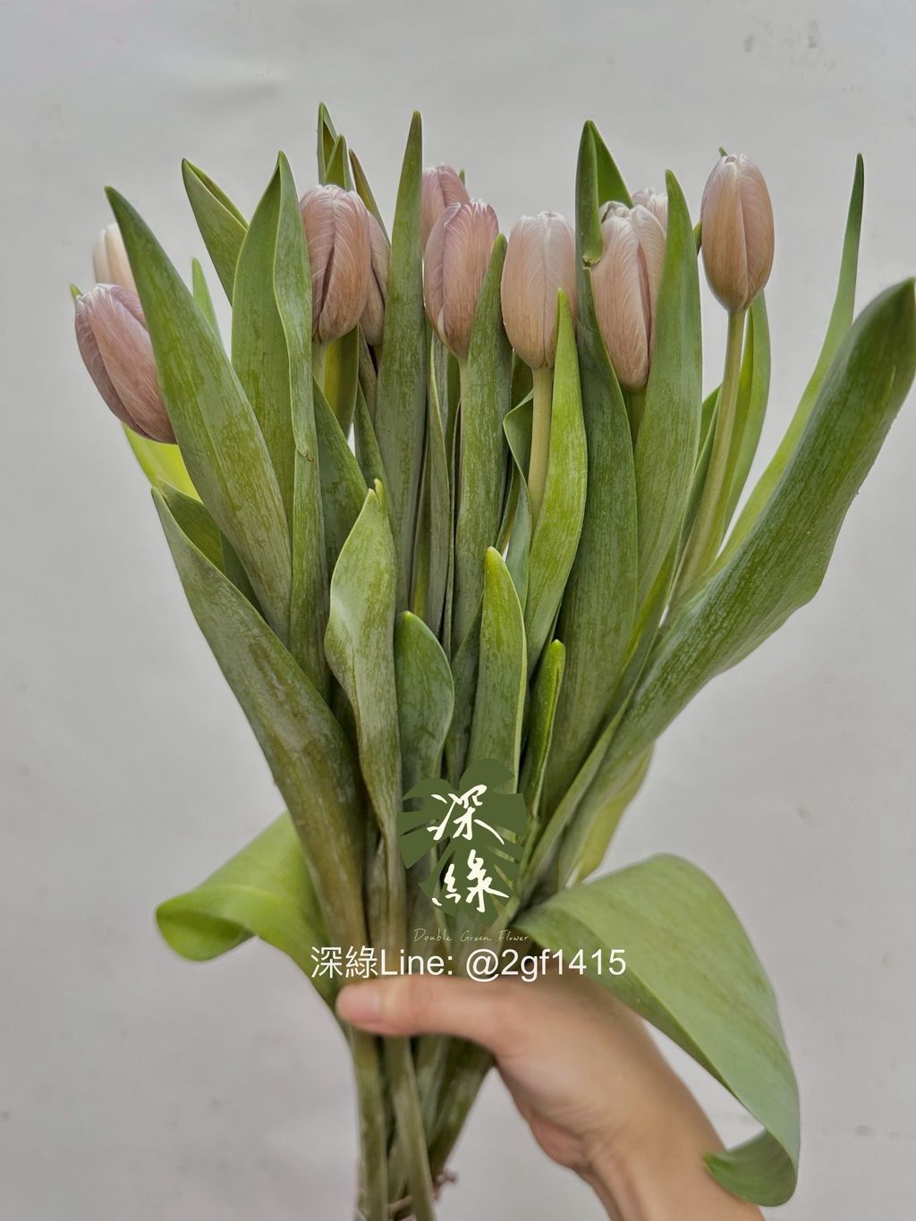 image_40E5240E-30EA-4432-855E-79C776ED98A7_1762920984