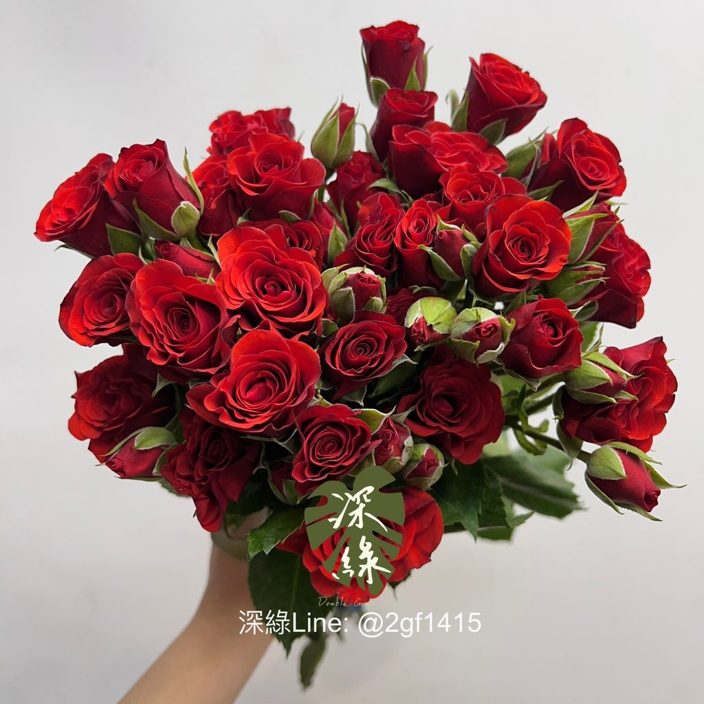 image_1E0DAB83-448E-4F5A-A8CD-9A067F0BBF13_1763534662