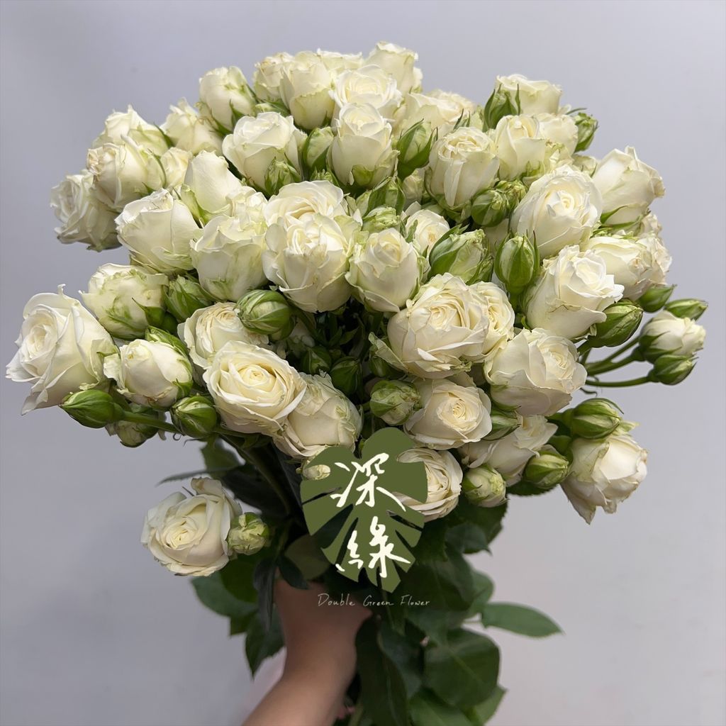 image_C5439E97-89FC-4AFB-9C41-C90489326F5A_1763535482