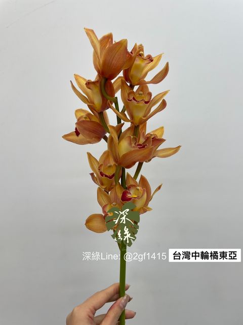 IMG_9893-1703571301450