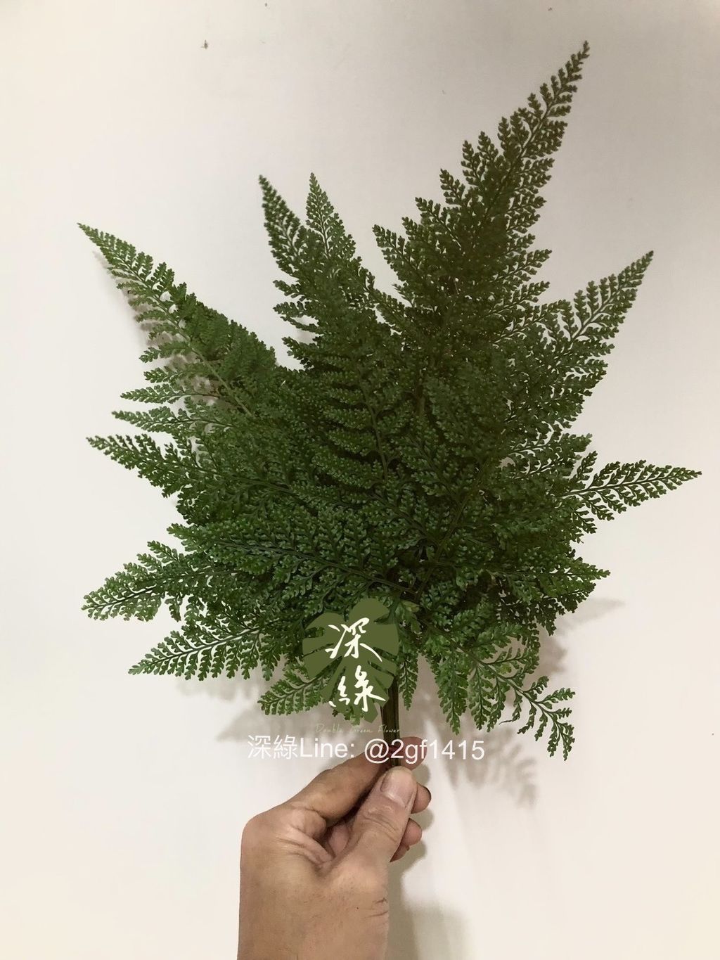 IMG_5769-1730625147324