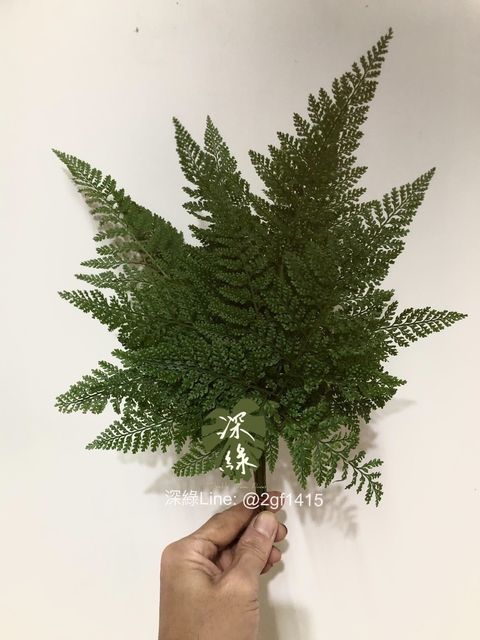 IMG_5769-1730625147324