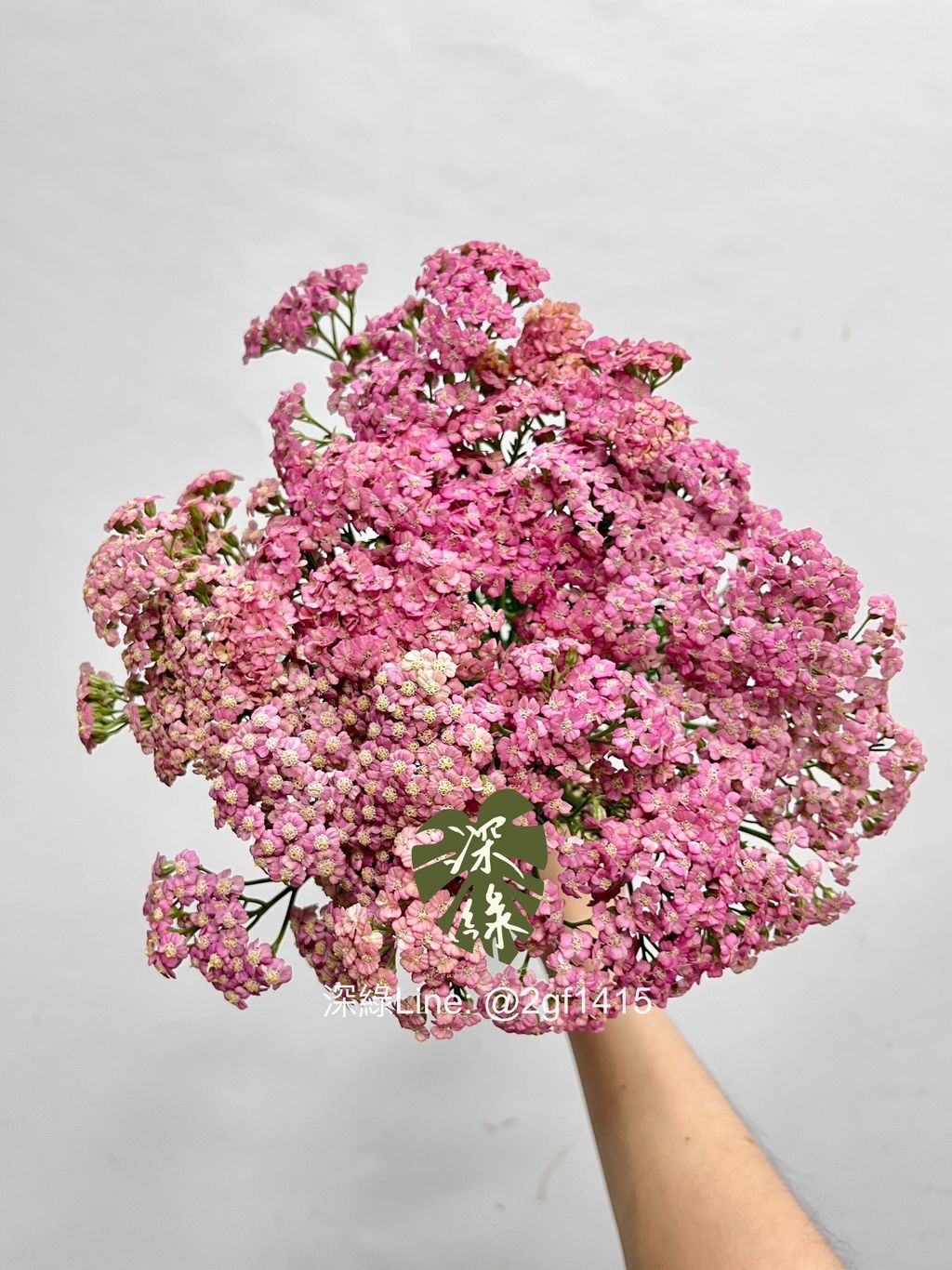 IMG_4963-1744865166902