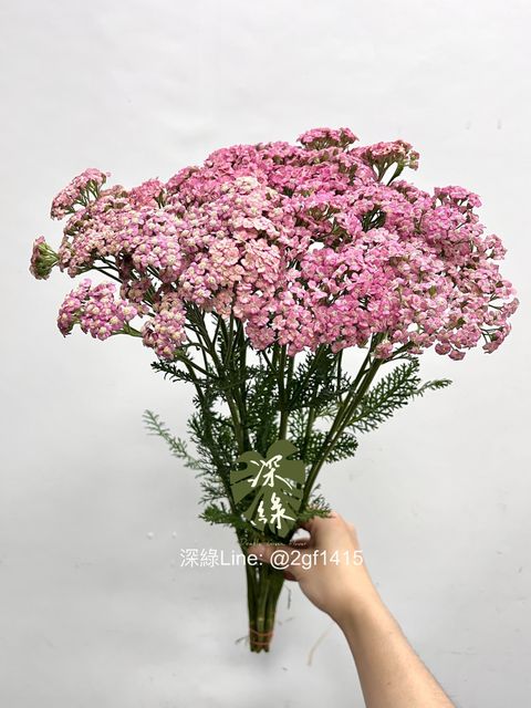 IMG_4964-1744865166904