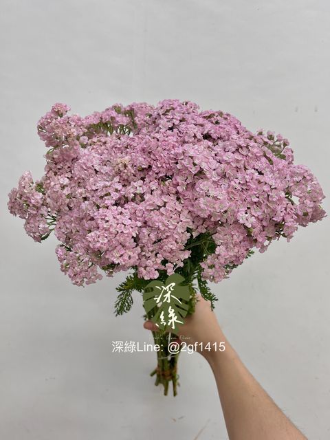 IMG_4825-1744172215282