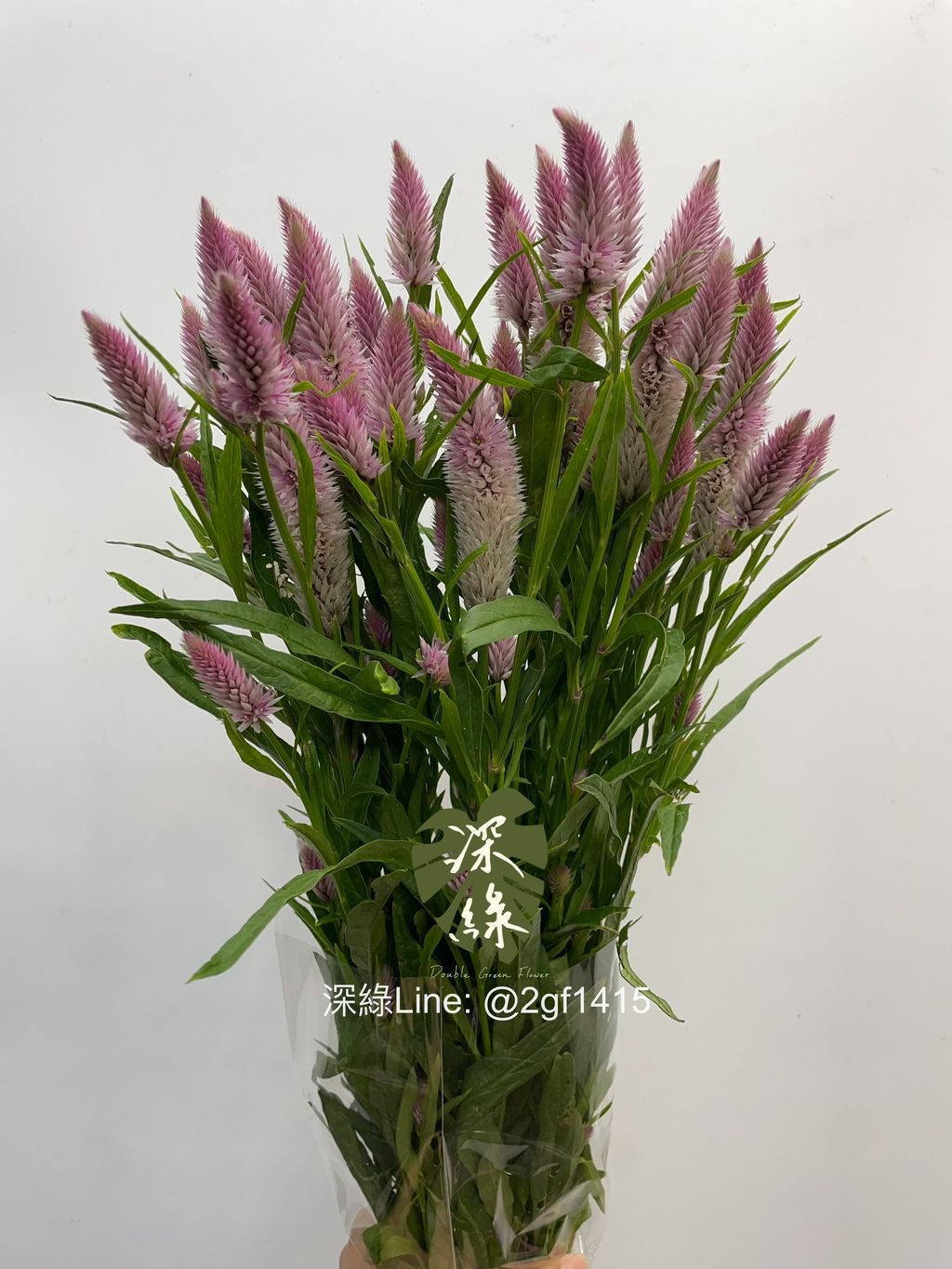 image_6D7B71EA-E814-405F-903C-4241C76CE247_1763962502