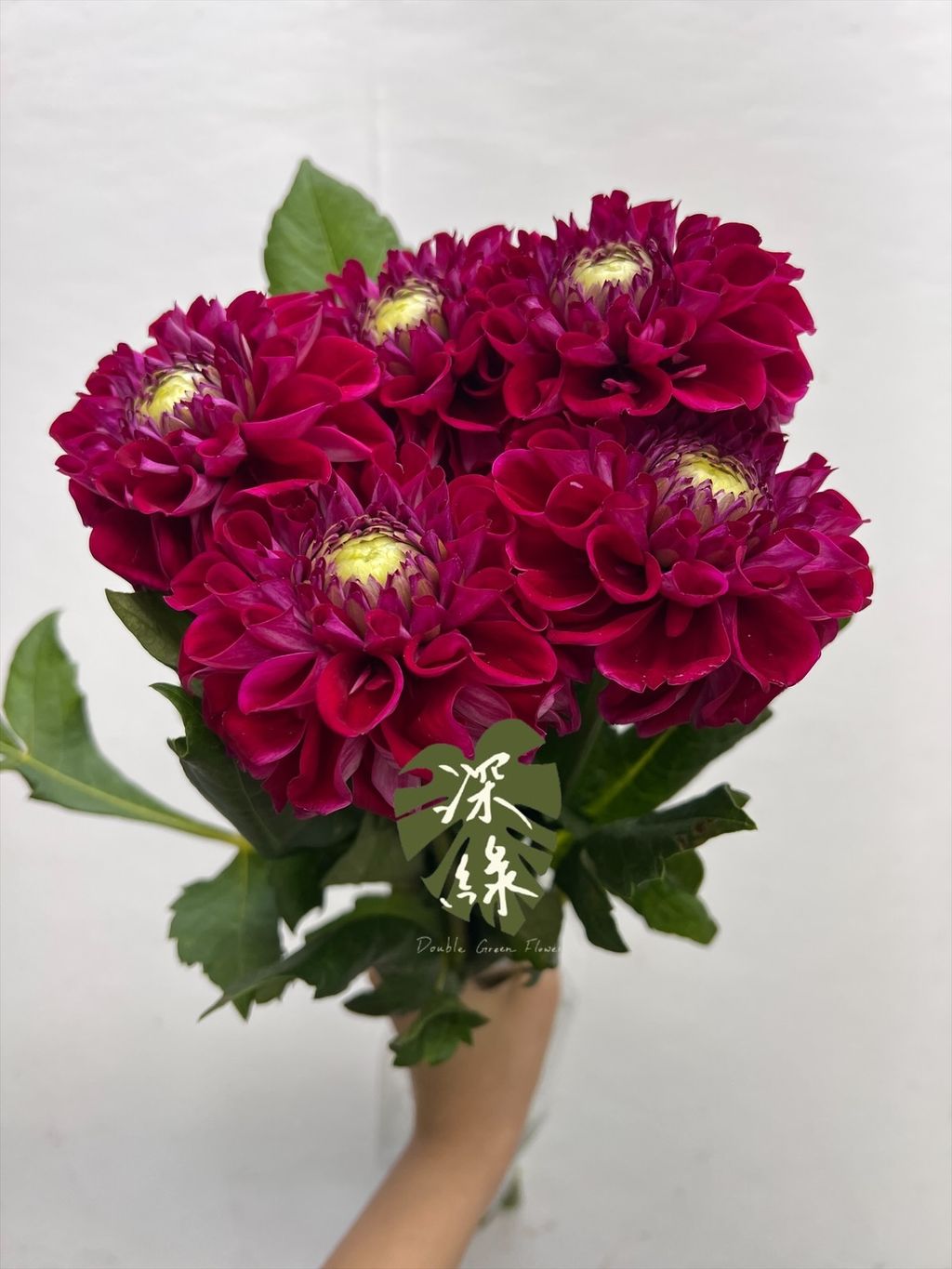 image_2928C561-DE92-4558-A7A2-45B0B4C321ED_1763966544