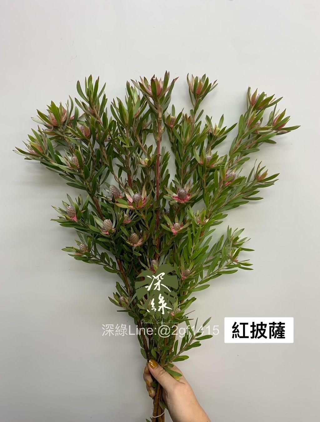 image_8BBBD161-2E17-4848-BDE4-E4A0408D4A37_1763614189