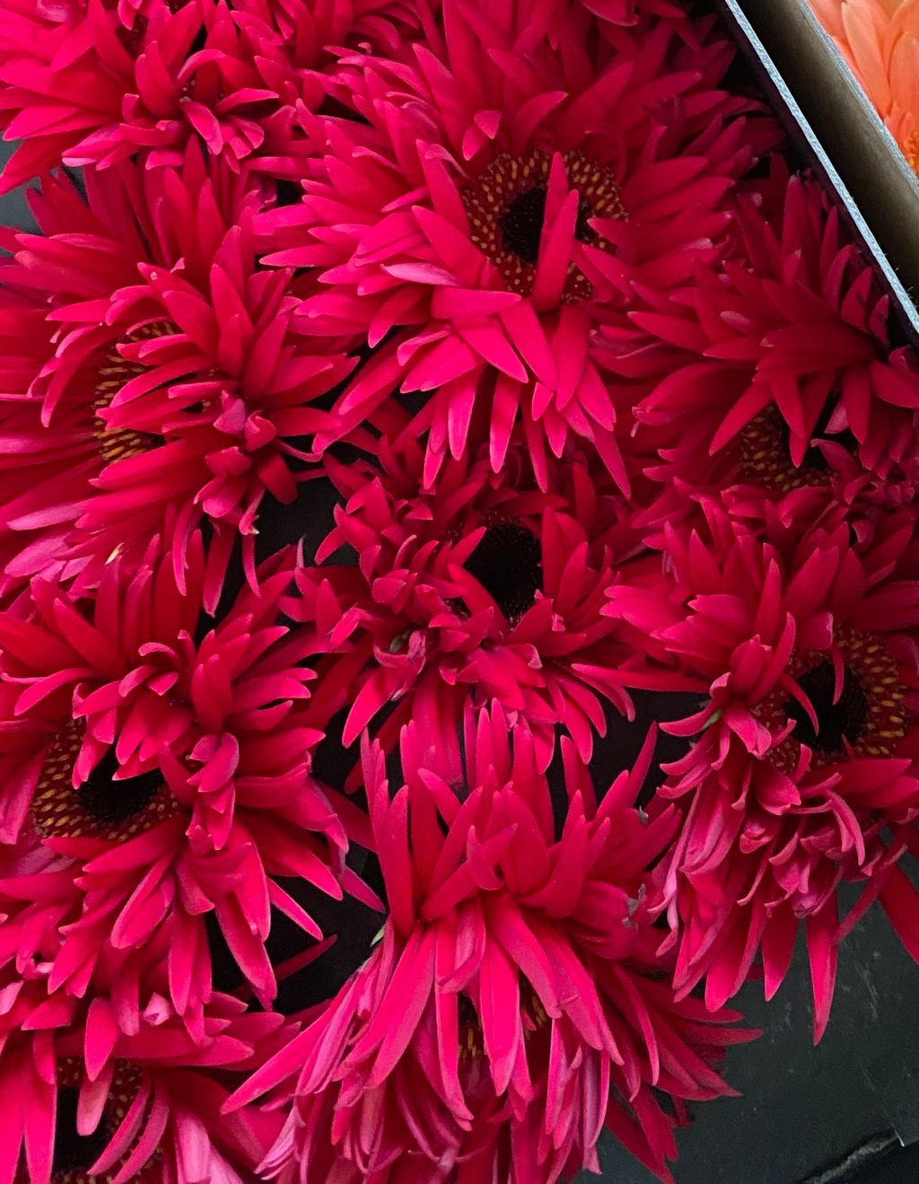 154B04EA-1142-410F-9818-BDCE54A5F56A