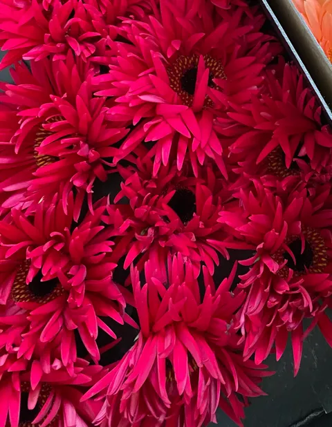 154B04EA-1142-410F-9818-BDCE54A5F56A