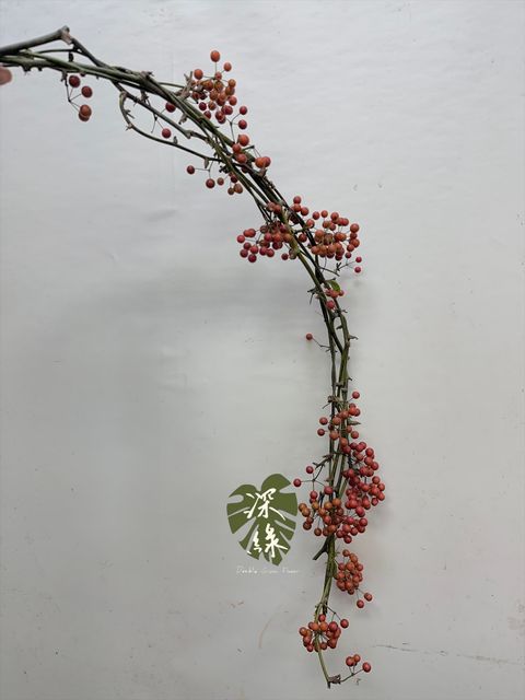 image_BDACC144-DFCD-4407-82D7-5559261C43B0_1764047483