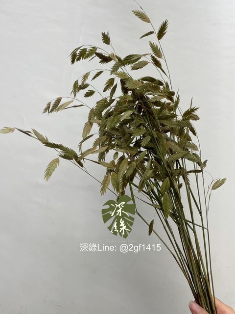 image_4BA6554D-FC8B-4F10-8B8E-C1F041F05D1E_1759896632