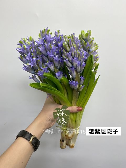 DE384D8E-7F03-4868-B6D6-37AD5E2BD403