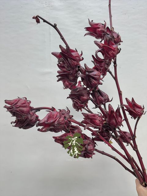 image_A9D66393-BD55-4503-88E7-E4970DE4A105_1764135010