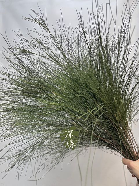 image_2F7F9995-1FF5-480E-8DF5-30FB79428682_1764137040