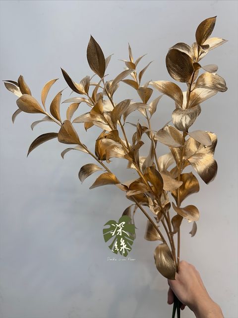 image_B4BEBFB2-08D8-403C-97BC-BC6F2214A4B2_1764137351