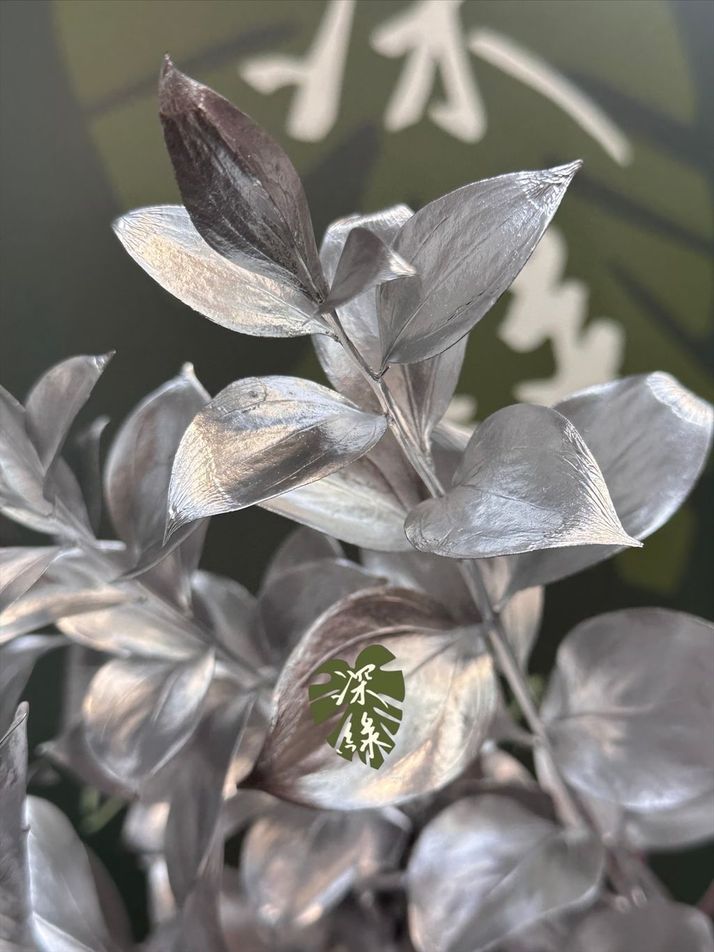 image_A3FDDF91-C65B-4564-9ED7-AC4535977B8F_1764137384