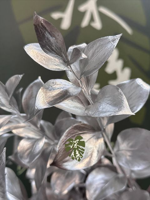 image_A3FDDF91-C65B-4564-9ED7-AC4535977B8F_1764137384