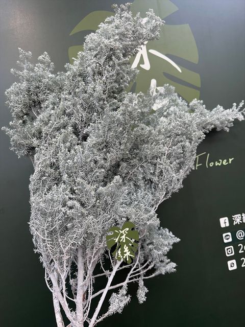 image_1BD6317F-0C24-4BD9-9D0D-6E9A7B8D8B77_1764137443