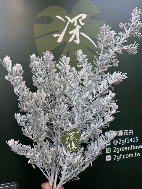 image_BC644806-EBCC-4A4A-8331-31A1E948C82D_1764137532