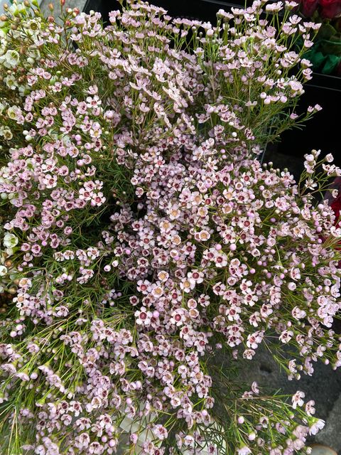 image_7A16DC90-0A78-4D94-90DE-A37B45D41660_1764142090