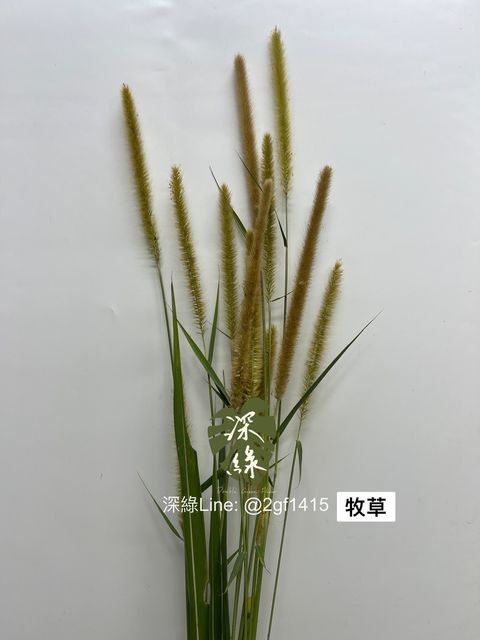 IMG_8535-1701843034745