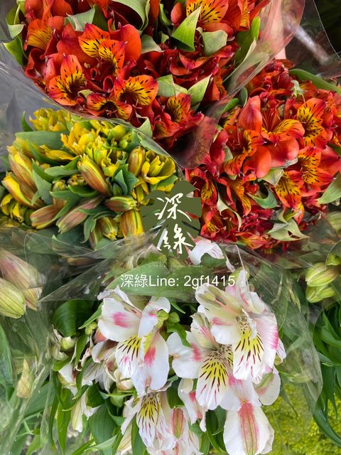 image_B8159B8B-B790-4C99-AD7B-BE2886BDBDC6_1764296926