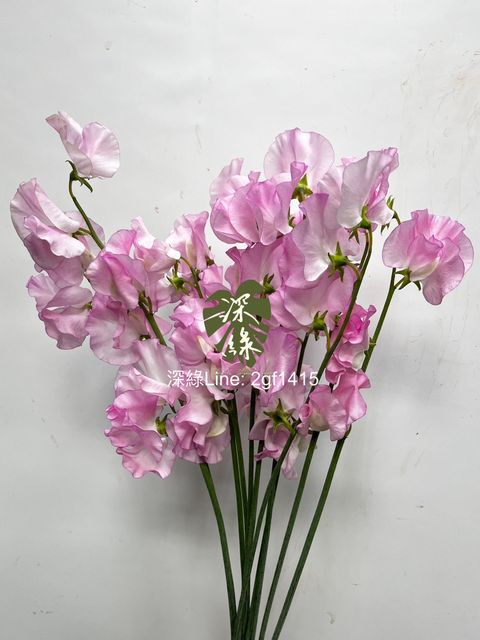 IMG_1779-1734583504045