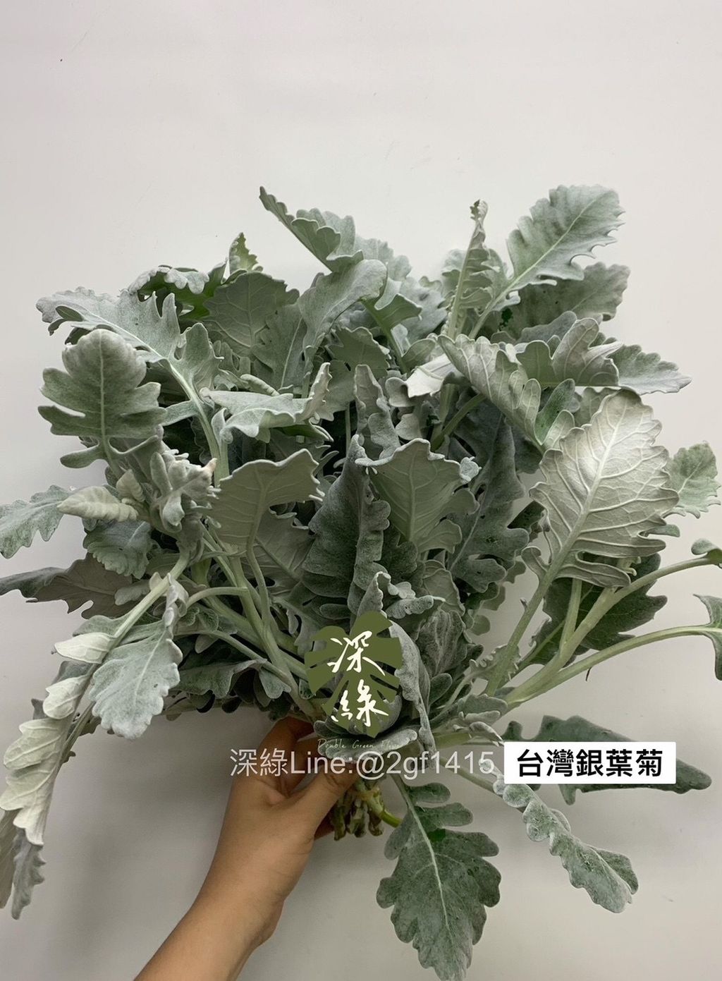 B9145115-C481-4B87-BB71-5218B0443207