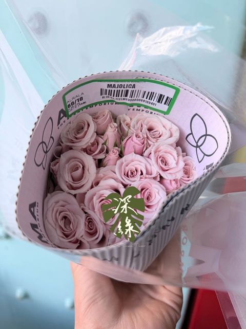 image_3206E7C7-2802-42A7-9592-75A4DF33F4CA_1764489578