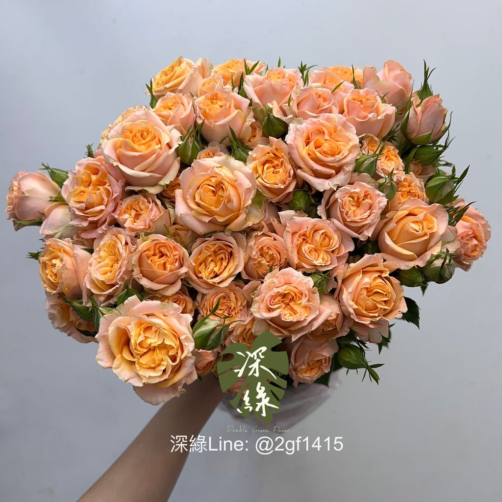 image_767CC8AD-2AC9-428D-AABF-501EE13A8C76_1763535043