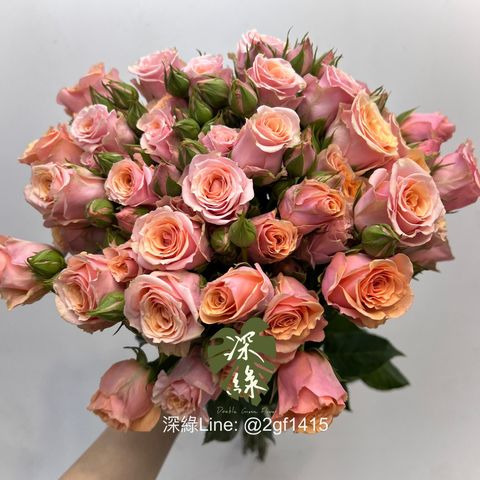 image_6D313E04-5764-4A01-BE2C-D24CBA71F3DD_1763534173