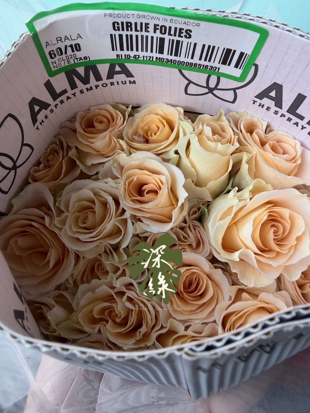 image_E0FB6306-7D07-4A4C-B1B8-CFBB6EE2854E_1764489711