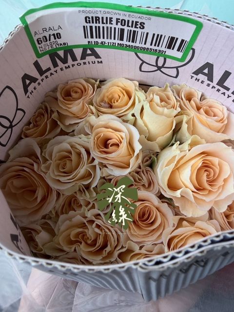 image_E0FB6306-7D07-4A4C-B1B8-CFBB6EE2854E_1764489711