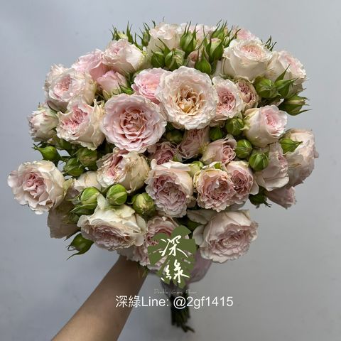 image_71332C50-BE0B-441A-AD1B-27D2C87E3ED1_1763534470