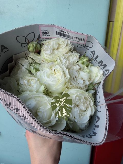 image_8056CE14-B293-4C0D-9291-E0917FD48153_1764489934