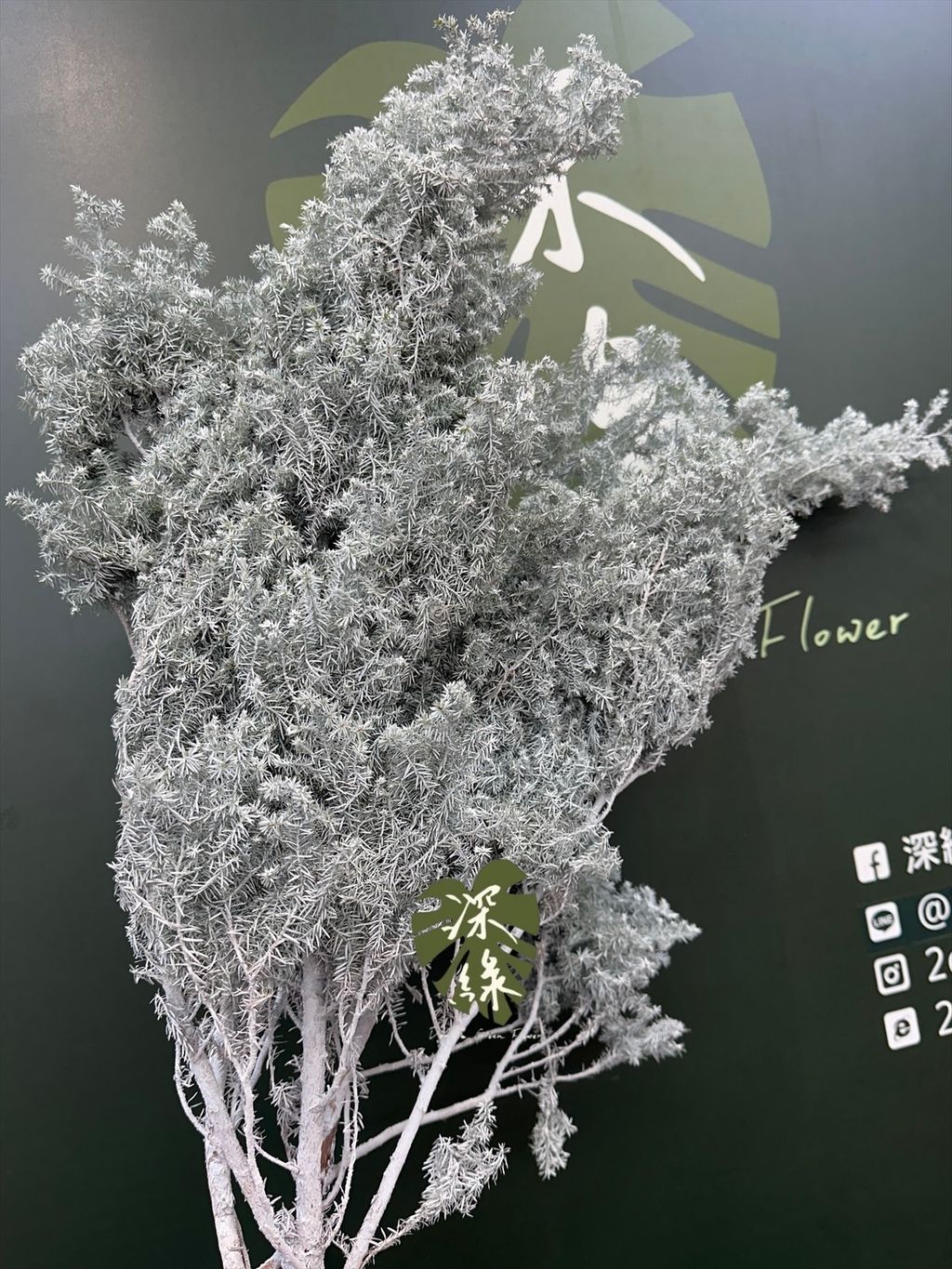 image_1BD6317F-0C24-4BD9-9D0D-6E9A7B8D8B77_1764137443