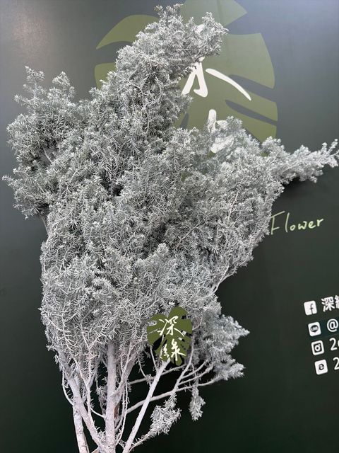 image_1BD6317F-0C24-4BD9-9D0D-6E9A7B8D8B77_1764137443