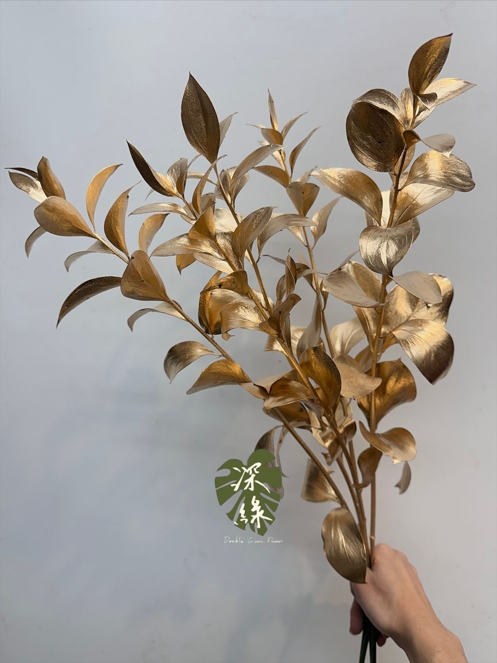 image_B4BEBFB2-08D8-403C-97BC-BC6F2214A4B2_1764137351