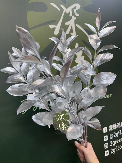 image_6180BADC-D7E8-460A-A057-32D0CDED71ED_1764137384