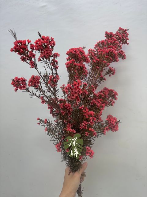 image_D86CC513-1A12-43F8-B088-8ED573693B75_1764564933