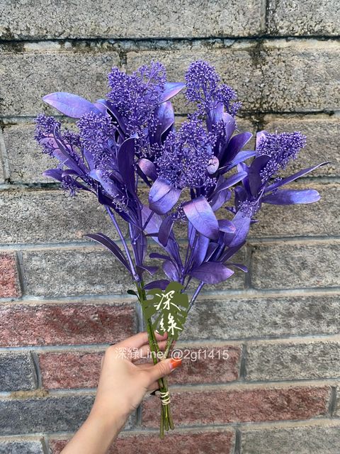 image_D2FED7E5-F6F4-447A-A807-14F7446628A2_1764567860