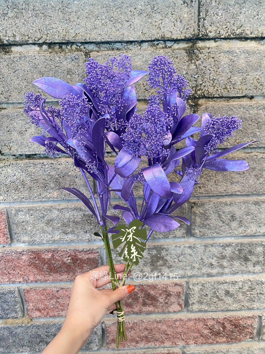 image_51F975C3-CC4C-4E04-A314-67E1978943DB_1764567860