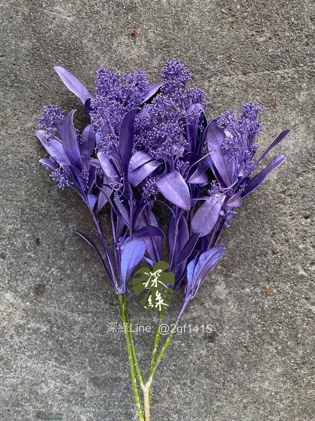 image_764F1020-7F87-4385-889F-DA023DC20A2C_1764567860